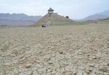 A heartbreaking sight