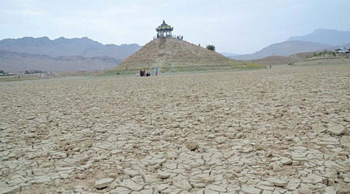 A heartbreaking sight