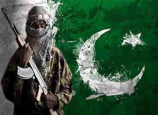 Italian Senate demands immediate withdrawal of Pakistan’s favored status