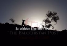 Pakistani Forces attacked in Washuk, BLF claims responsibility