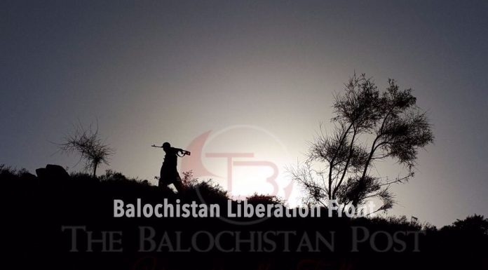 Baloch armed organisations BLF and BLA form alliance