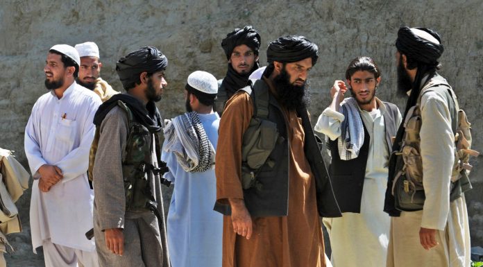 Afghanistan: Taliban commander killed in airstrike