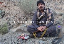 Freedom is our destiny – Dr Allah Nazar