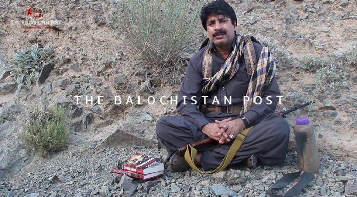 Freedom is our destiny – Dr Allah Nazar