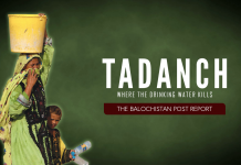 Tadanch – TBP Report