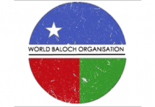 WBO declares support for Jalila Haidar’s hunger strike