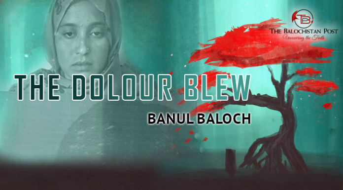 The Dolour Blew – Banul Baloch