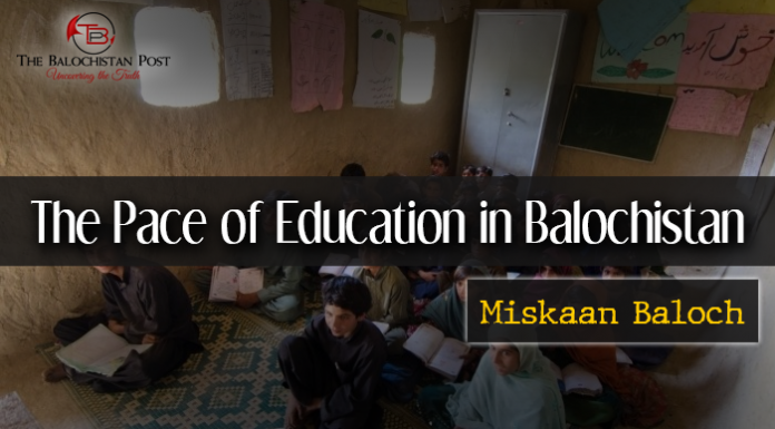 The Pace of Education in Balochistan – Miskaan Baloch