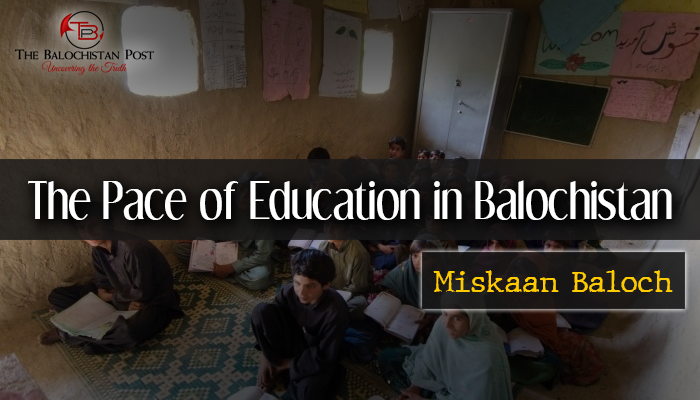 education in balochistan essay