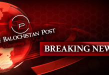 Asylum-seeking Baloch activist arrested in Germany