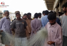 Fishermen protest over illegal trawling in Pasni