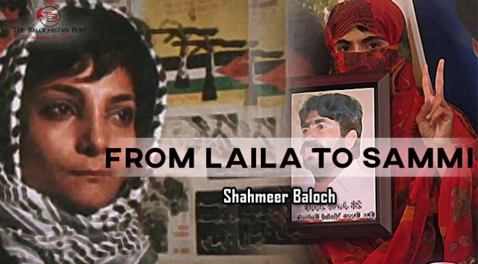From Laila to Sammi – Shahmeer Baloch