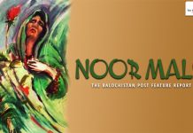 Noor Malik – TBP Feature Report