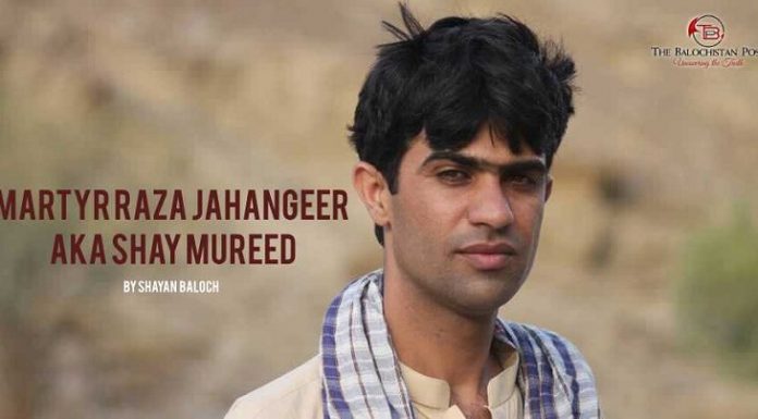 Martyr Raza Jahangeer aka Shay Mureed – Shayan Baloch