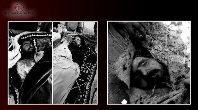 Balochistan: two brothers shot dead, one dead body discovered