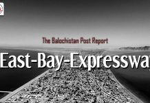 East Bay Expressway – TBP Report