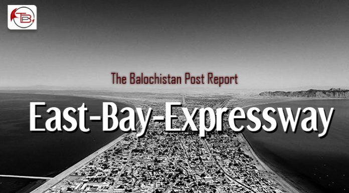 East Bay Expressway – TBP Report