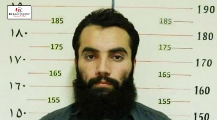 Taliban leader Anas Haqqani released from Afghan Prison
