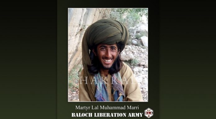 An important member of the organization embraced martyrdom-BLA