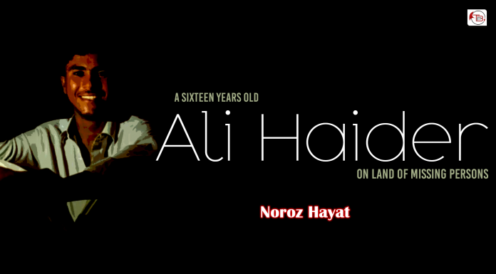 A Sixteen Years Old “Ali Haider” on Land of Missing Persons – Noroz Hayat