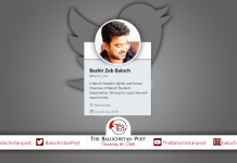 Baloch struggle is supported by Baloch nation – Bashir Zeb Baloch