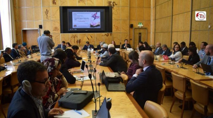 Geneva: BVA held demonstrations to raise awareness about Baloch issue