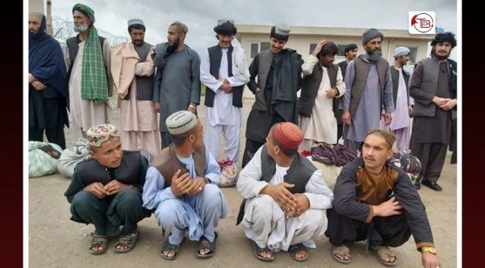 Fake orders by Afghan President, 29 prisoners released