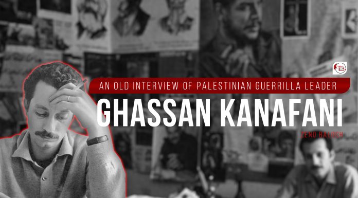 An old interview of Palestinian guerrilla leader Ghassan Kanafani