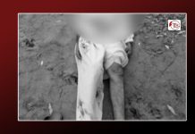 Dead body of Dera Bugti resident recovered from Jamshoro