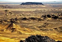Pakistan seeks relief in Reko Diq lease case penalty