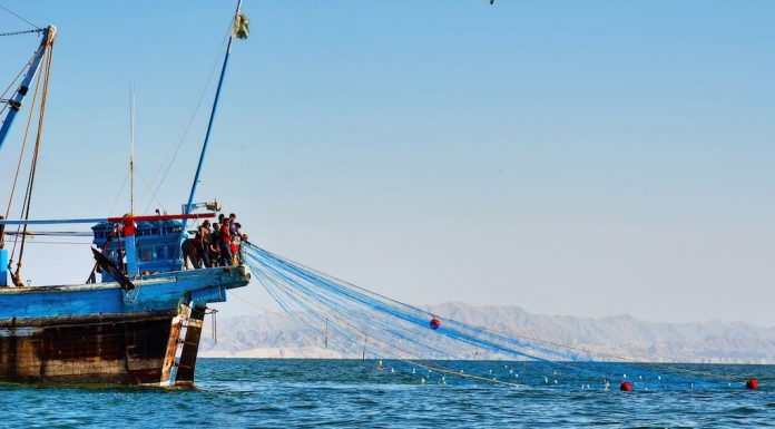 Gwadar: Local fishermen protest against the rampant trawling on the coast