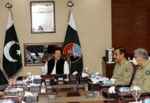 Apex committee to set up information cell, protect Chinese nationals