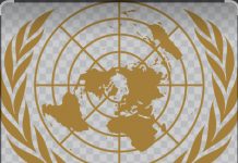 Pakistan asks UNSC’s help to stop attacks from Afghanistan