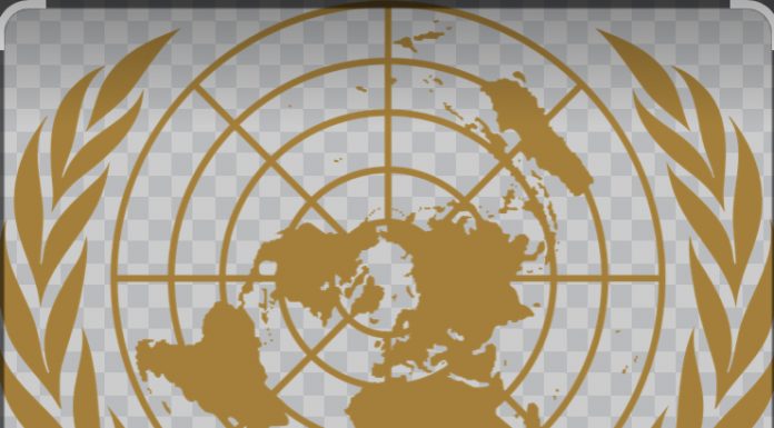 Pakistan asks UNSC’s help to stop attacks from Afghanistan