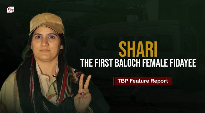 Shari; The First Baloch Female Fidayee — TBP Feature Report