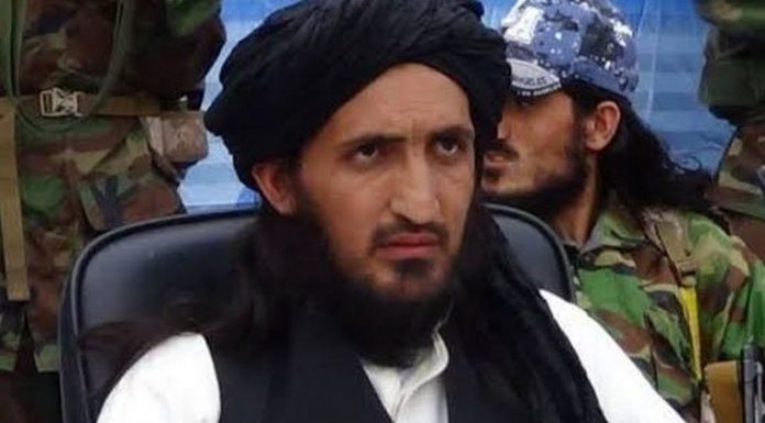 TTP leader killed in Afghanistan’s Paktia