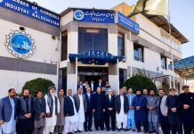 Freight train to start from Eastern Balochistan to Zahedan