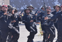 Apex committee empowers Levies to act against terrorism