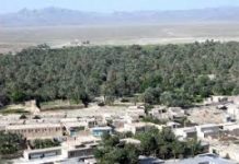 Three Dead in Western Balochistan Due to Firing and Road Accidents