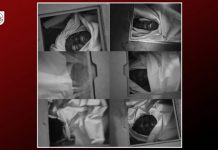 Six abandoned dead bodies in Turbat hospital identified