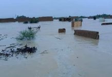 Naseerabad: Dam collapse triggers flooding in residential areas