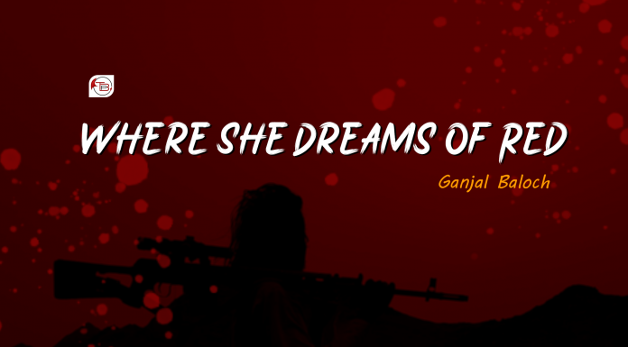 Where She Dreams of Red