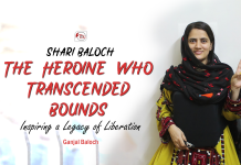 Shari Baloch: The Heroine Who Transcended Bounds, Inspiring a Legacy of Liberation