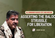 Title: BLA Commander Basheer Zeb’s Video Message: Asserting the Baloch Struggle for Liberation