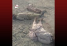 Three dead bodies recovered from Balochistan’s Kech