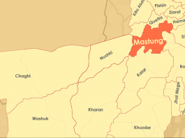 Four Pakistani Soldiers Killed in Clashes with Armed Men in Mastung