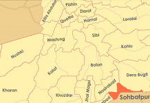 Seven Members of the Same Family Killed in Firing Incident in Balochistan’s Sohbatpur District