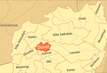 Ziarat: Female Polling Agent Killed During Re-Polling