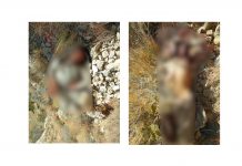 Clashes in Kalat’s Nagao Mountains During Security Forces Operation