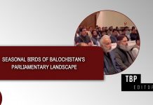 Seasonal Birds of Balochistan’s Parliamentary Landscape – TBP Editorial